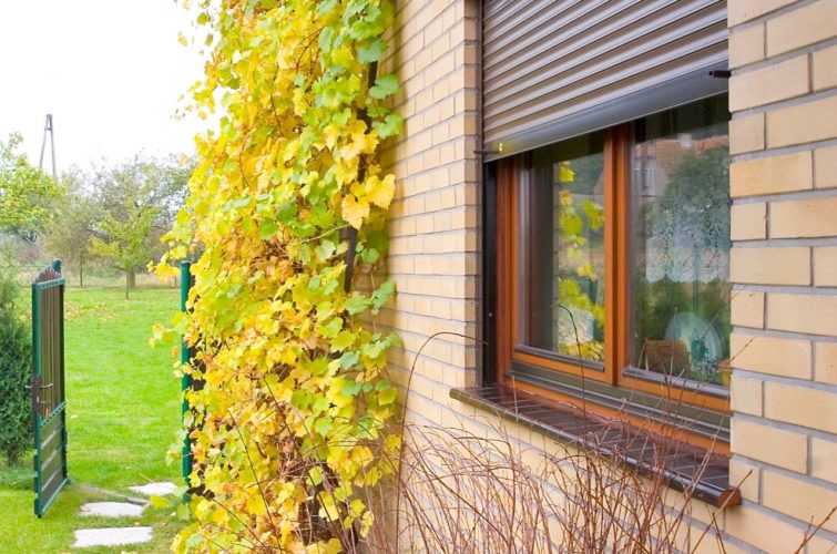 Piękne rolety i żaluzje Kraków - zewnętrzne i wewnętrzne