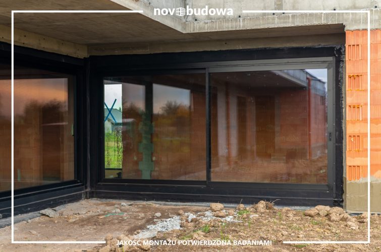 Nasze realizacje: Rybitwy - przeszklony dom