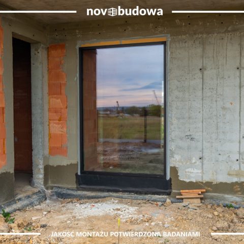 Nasze realizacje: Rybitwy - przeszklony dom