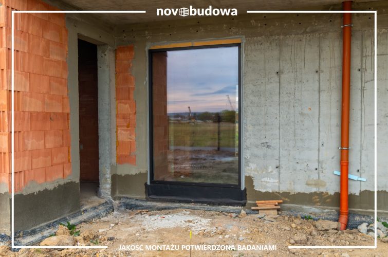 Nasze realizacje: Rybitwy - przeszklony dom