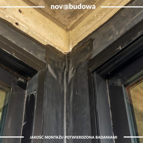 Nasze realizacje: Rybitwy - przeszklony dom