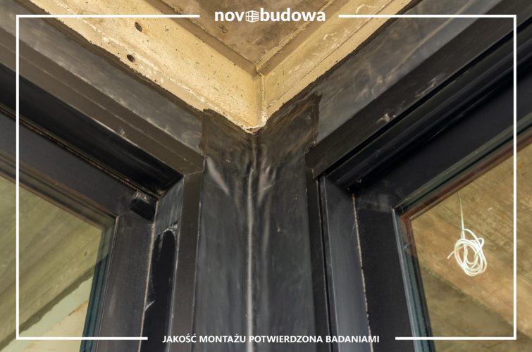 Nasze realizacje: Rybitwy - przeszklony dom