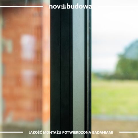 Nasze realizacje: Rybitwy - przeszklony dom