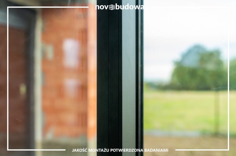 Nasze realizacje: Rybitwy - przeszklony dom