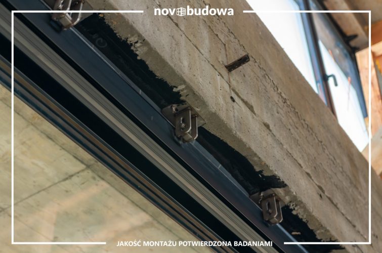 Nasze realizacje: Rybitwy - przeszklony dom