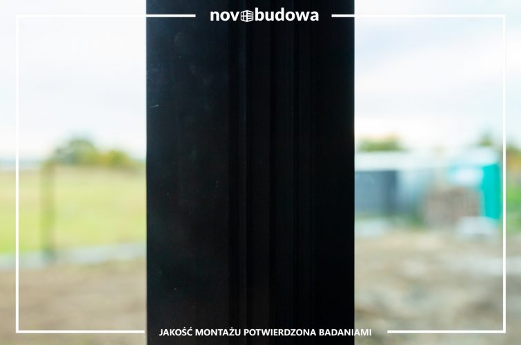 Nasze realizacje: Rybitwy - przeszklony dom