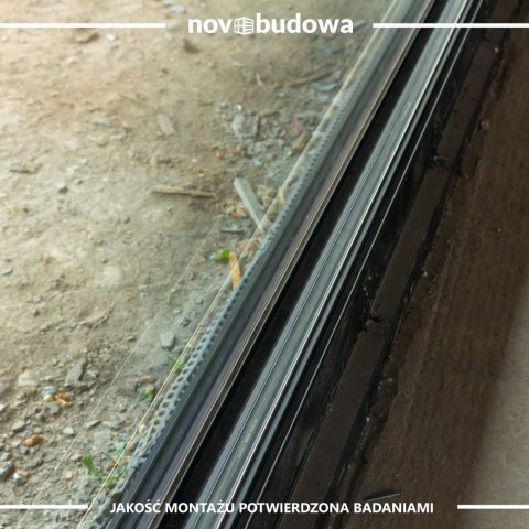 Nasze realizacje: Rybitwy - przeszklony dom