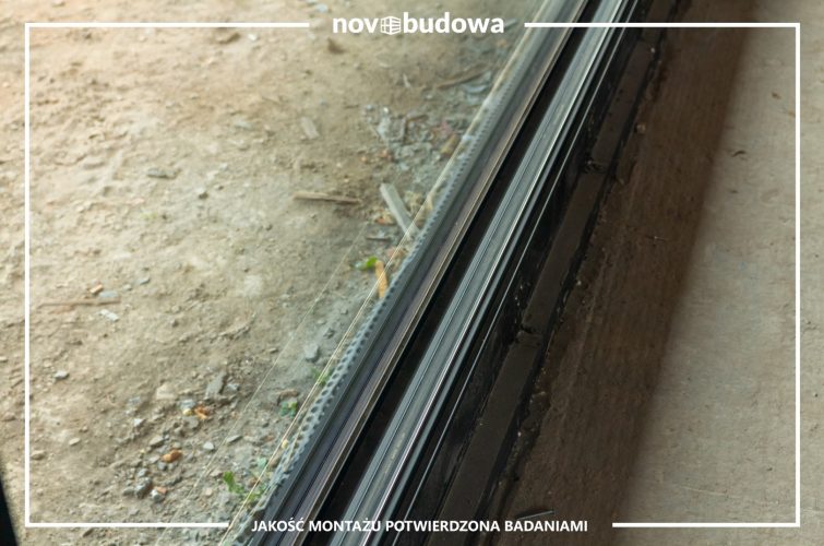 Nasze realizacje: Rybitwy - przeszklony dom