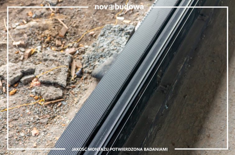 Nasze realizacje: Rybitwy - przeszklony dom