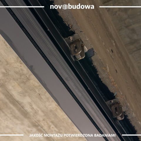 Nasze realizacje: Rybitwy - przeszklony dom