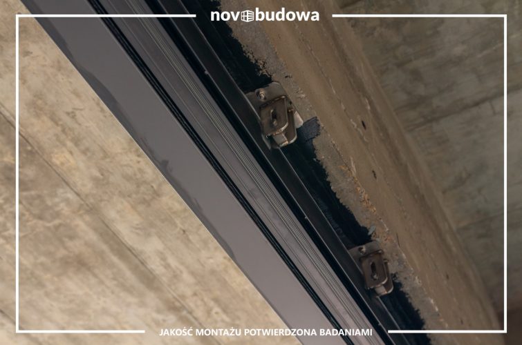 Nasze realizacje: Rybitwy - przeszklony dom