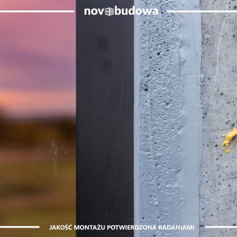 Nasze realizacje: Rybitwy - przeszklony dom