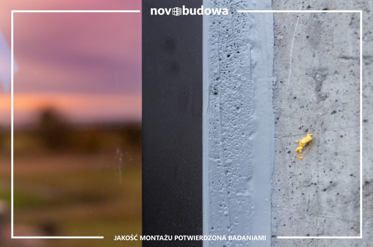 Nasze realizacje: Rybitwy - przeszklony dom