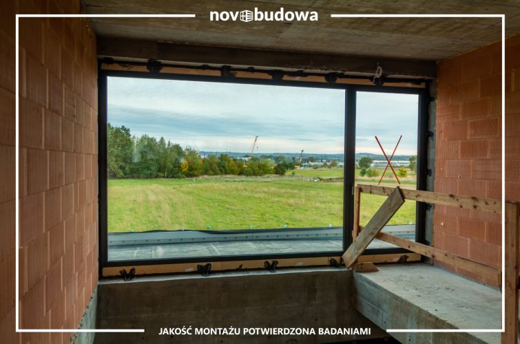 Nasze realizacje: Rybitwy - przeszklony dom