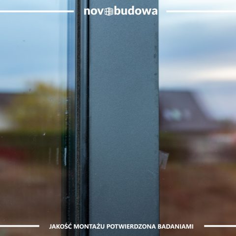 Nasze realizacje: Rybitwy - przeszklony dom