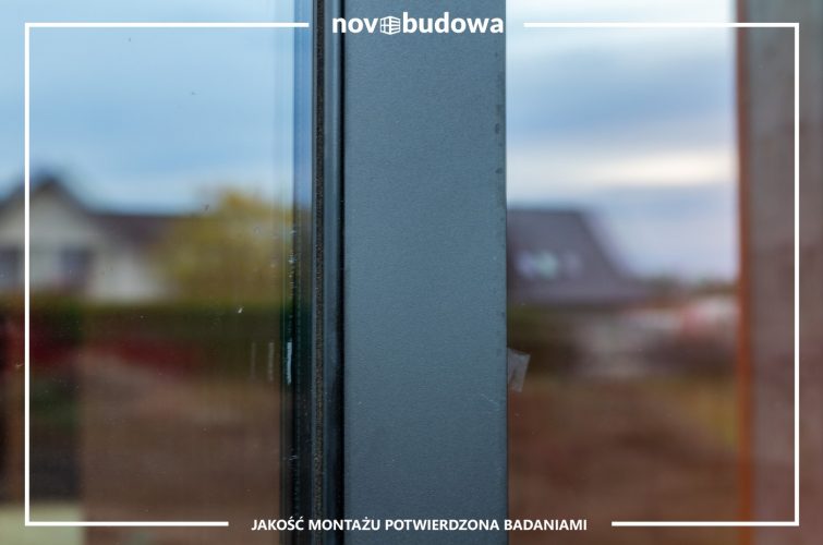 Nasze realizacje: Rybitwy - przeszklony dom